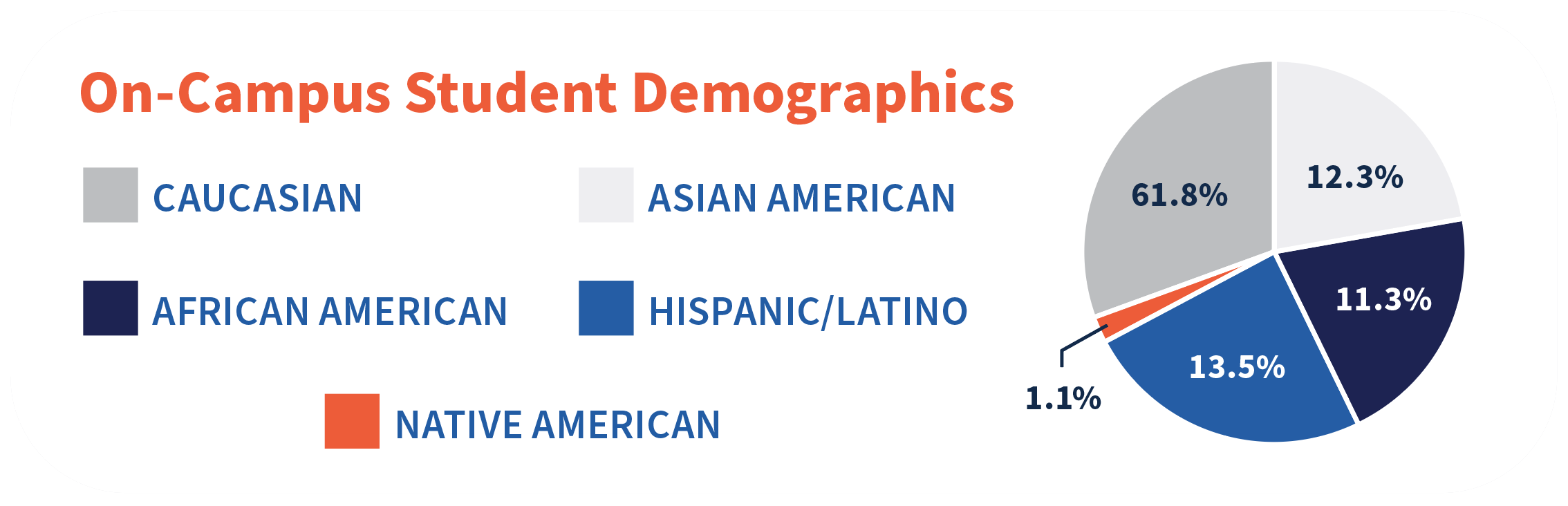 On-Campus Student Demographics